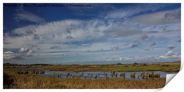  Oare marshes  Print by Thanet Photos