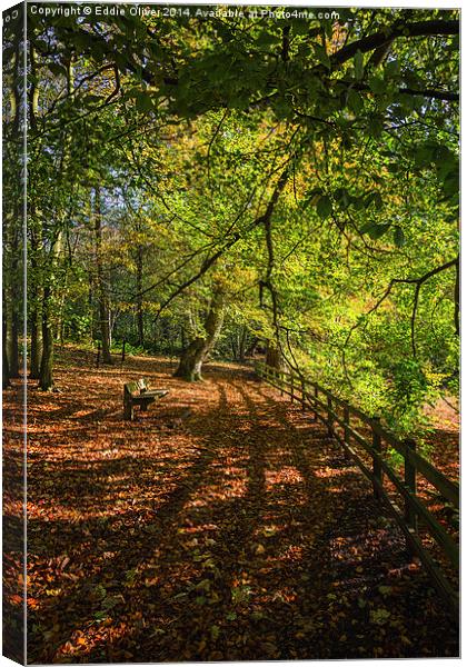  Autumnal Path Canvas Print by Eddie Oliver