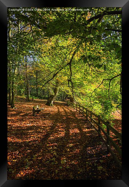  Autumnal Path Framed Print by Eddie Oliver
