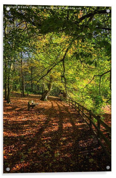  Autumnal Path Acrylic by Eddie Oliver