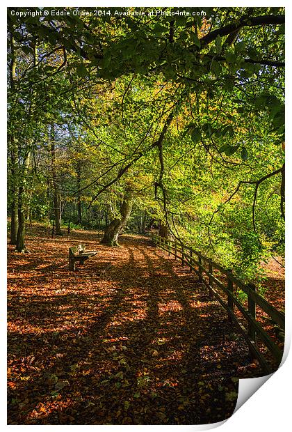  Autumnal Path Print by Eddie Oliver
