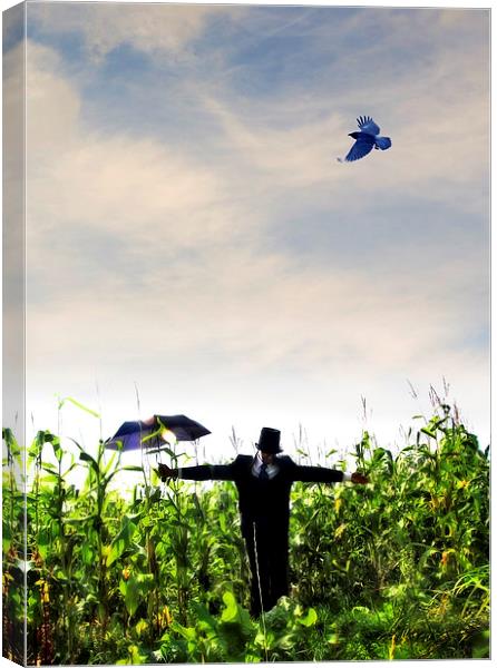 A human scarecrow in the corn  Canvas Print by Mal Bray