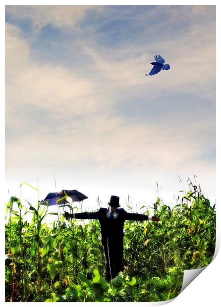A human scarecrow in the corn  Print by Mal Bray