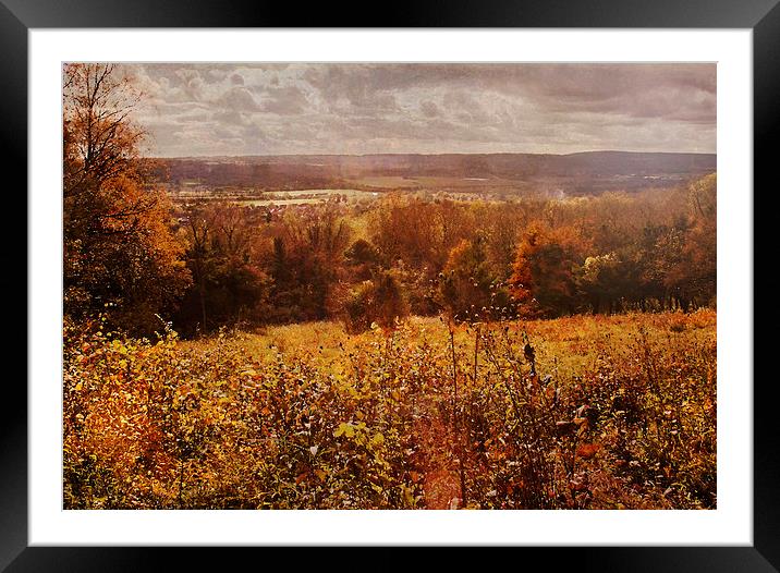  North Downs Framed Mounted Print by Dawn Cox