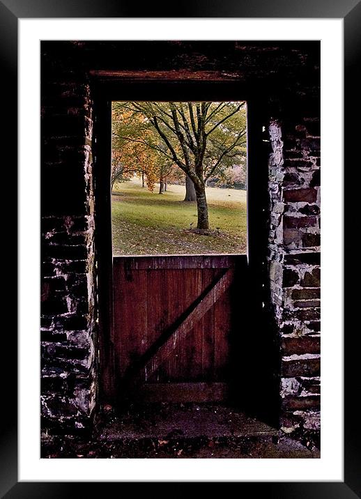 Autumn viewed from an open window Framed Mounted Print by Mike Gorton