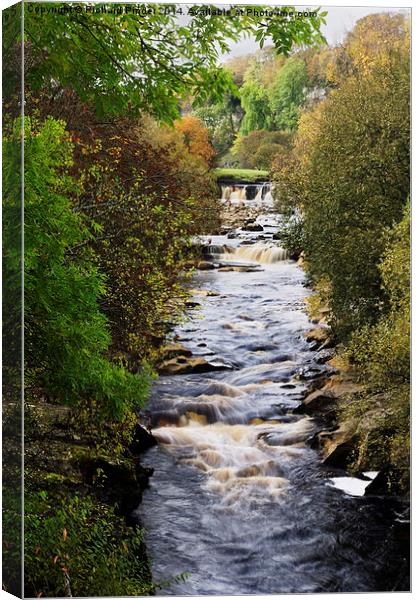  A View of the River Swale in North Yorkshire Canvas Print by Richard Pinder
