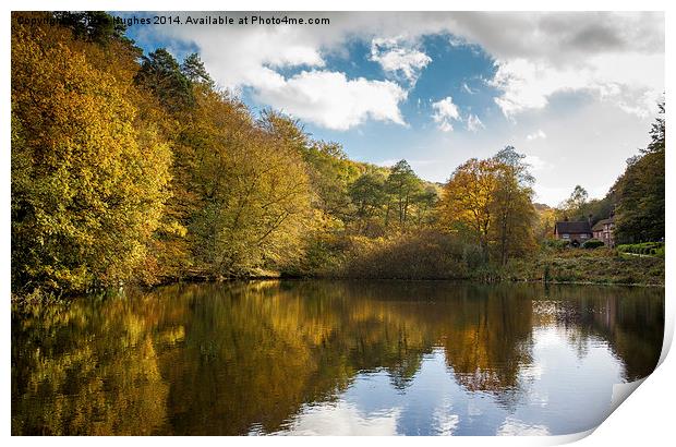  Friday Street Lake in Autumnal colours Print by Steve Hughes