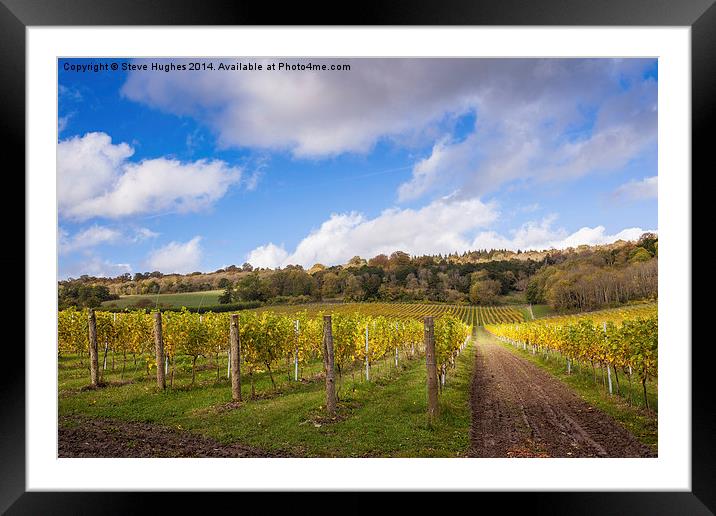  Autumn at the Vineyard Framed Mounted Print by Steve Hughes