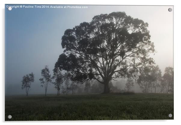  Gum Tree in the Mist at Yan Yean Acrylic by Pauline Tims