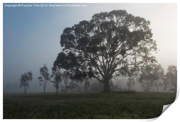  Gum Tree in the Mist at Yan Yean Print by Pauline Tims