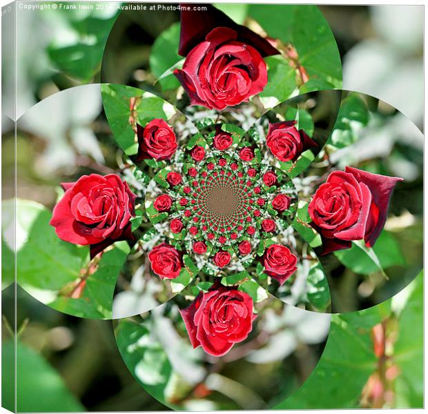  Composition of red roses artistically displayed Canvas Print by Frank Irwin