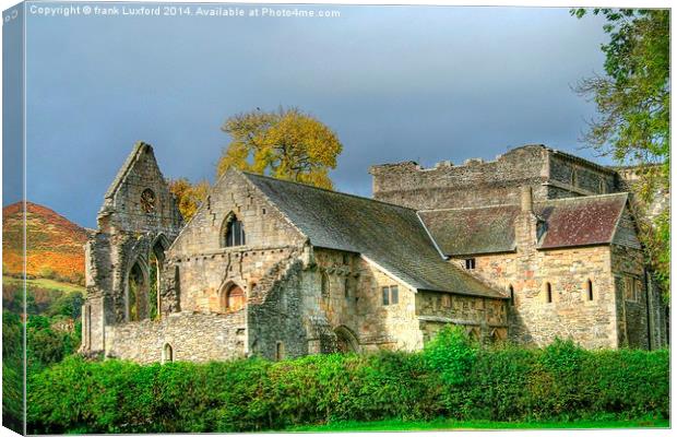  valle crucis abbey Canvas Print by frank Luxford