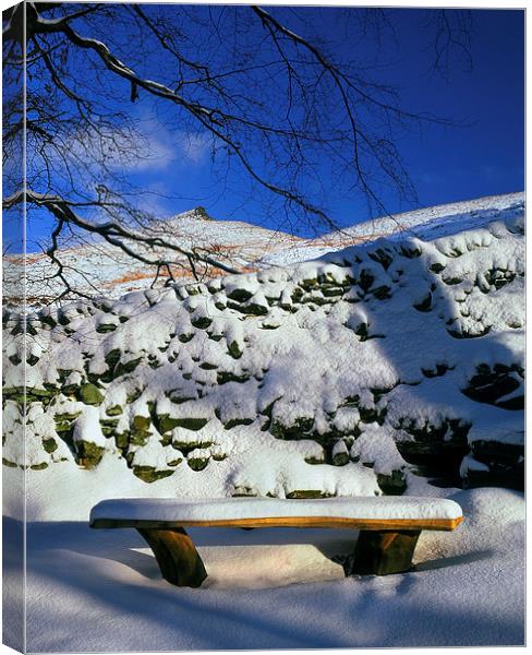 Ringing Roger and Bench in the Snow Canvas Print by Darren Galpin