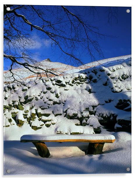 Ringing Roger and Bench in the Snow Acrylic by Darren Galpin