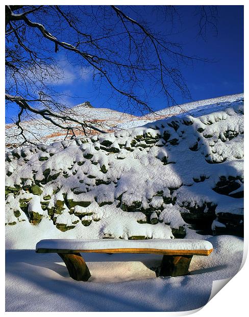 Ringing Roger and Bench in the Snow Print by Darren Galpin