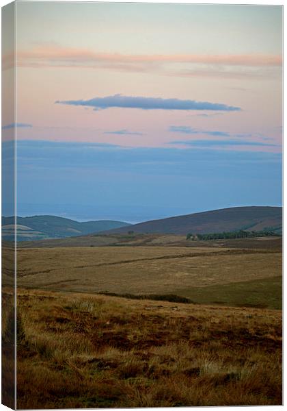 Exmoor Dusk  Canvas Print by graham young