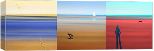  High Tide and Low Tide Canvas Print by Mal Bray