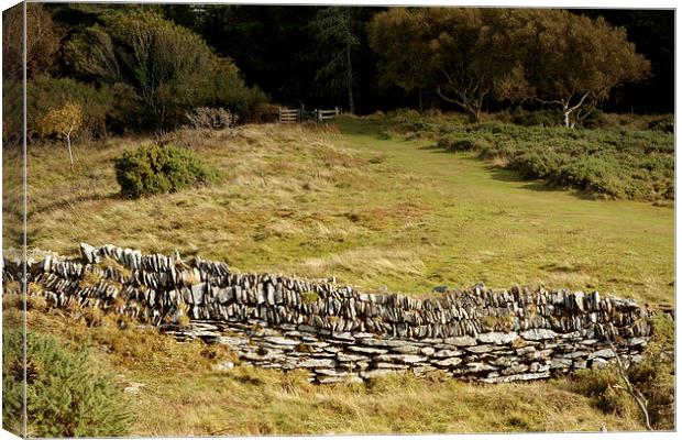 The Iron Age Enclosure on Hollerday Hill  Canvas Print by graham young