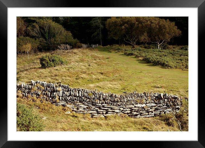 The Iron Age Enclosure on Hollerday Hill  Framed Mounted Print by graham young