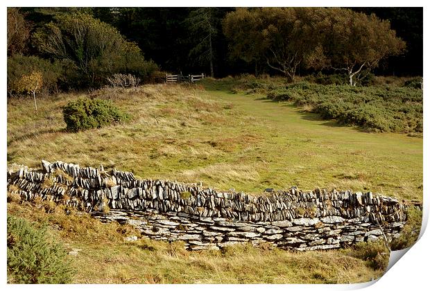 The Iron Age Enclosure on Hollerday Hill  Print by graham young