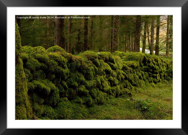  Mossy wall in Ireland Framed Mounted Print by james burke