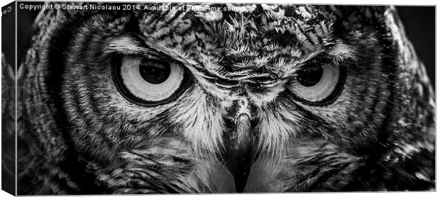 Beautiful Eagle Owl Canvas Print by Stewart Nicolaou
