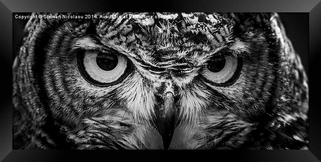 Beautiful Eagle Owl Framed Print by Stewart Nicolaou