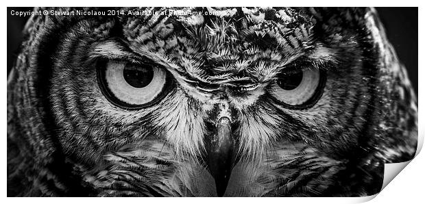 Beautiful Eagle Owl Print by Stewart Nicolaou