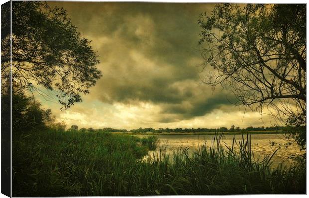 Gora Lake Canvas Print by Piotr Tyminski