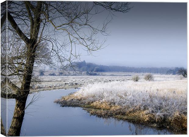 Frosty Morning by the River Wensum Norfolk Canvas Print by john hartley
