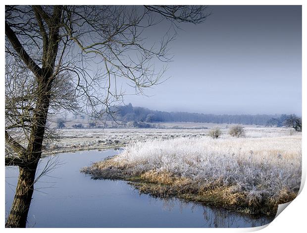 Frosty Morning by the River Wensum Norfolk Print by john hartley