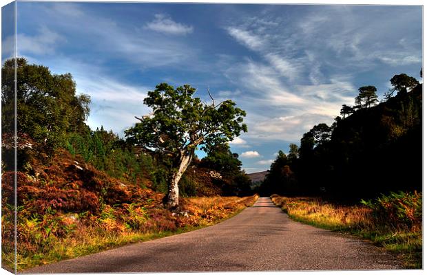   Glen Strathfarrar Canvas Print by Macrae Images