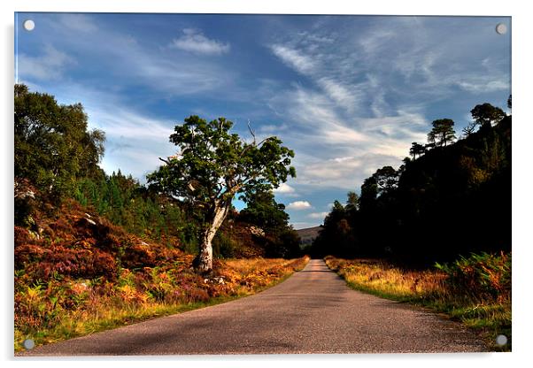   Glen Strathfarrar Acrylic by Macrae Images