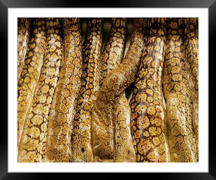 Leopard Skin Framed Mounted Print by Alan Pickersgill