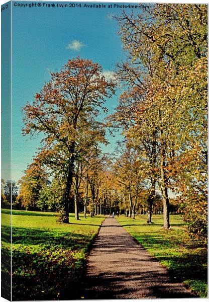  Atistic Autumnal colours in the park Canvas Print by Frank Irwin
