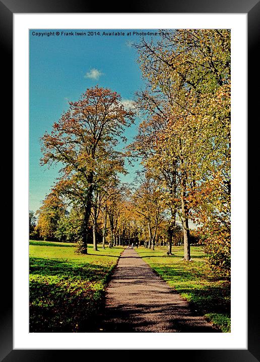  Atistic Autumnal colours in the park Framed Mounted Print by Frank Irwin