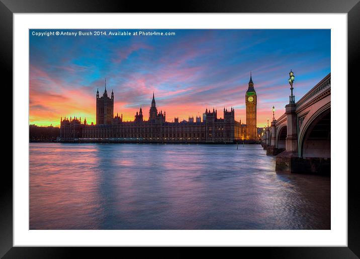  Westminster Sundown Framed Mounted Print by Antony Burch