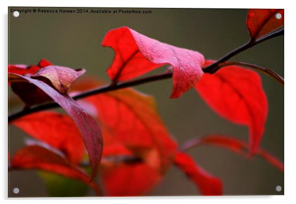  Autumn Red Acrylic by Rebecca Hansen