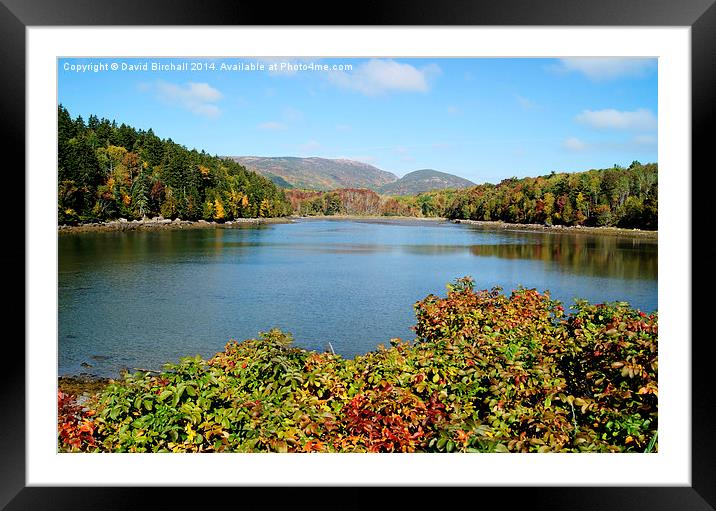  Autumn in Acadia. Framed Mounted Print by David Birchall