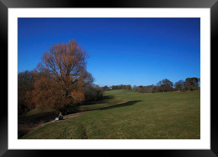  The leaning willow Framed Mounted Print by Stephen Prosser