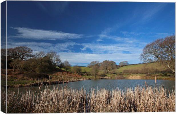  Across the pond Canvas Print by Stephen Prosser