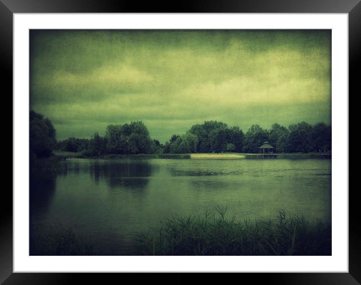 Lake in the park Framed Mounted Print by Piotr Tyminski