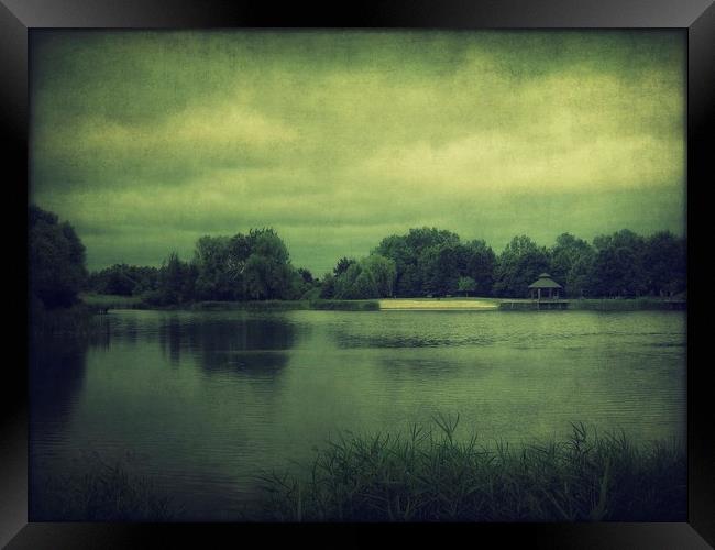 Lake in the park Framed Print by Piotr Tyminski