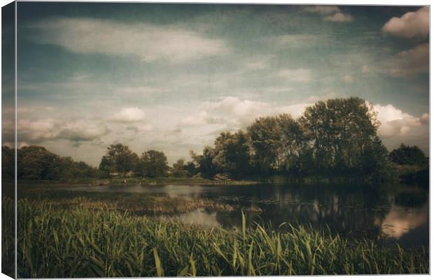 Narew River Canvas Print by Piotr Tyminski