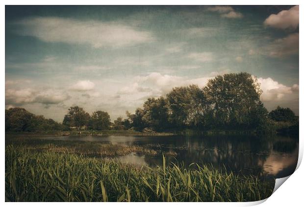 Narew River Print by Piotr Tyminski