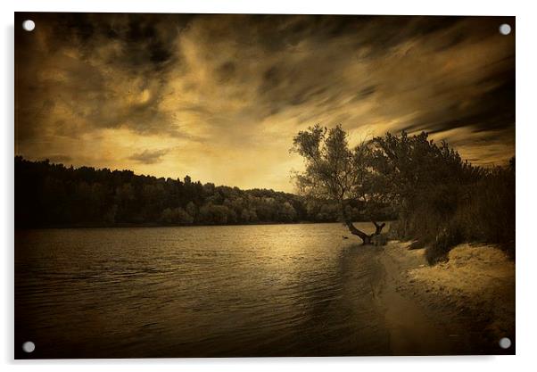 Along the river Acrylic by Piotr Tyminski