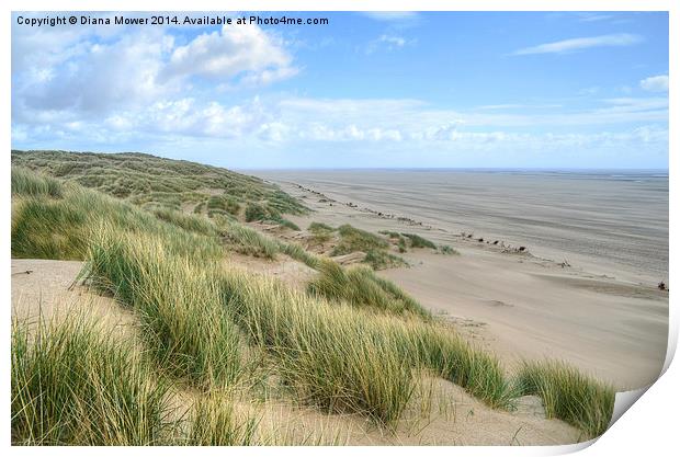  St Annes  Print by Diana Mower