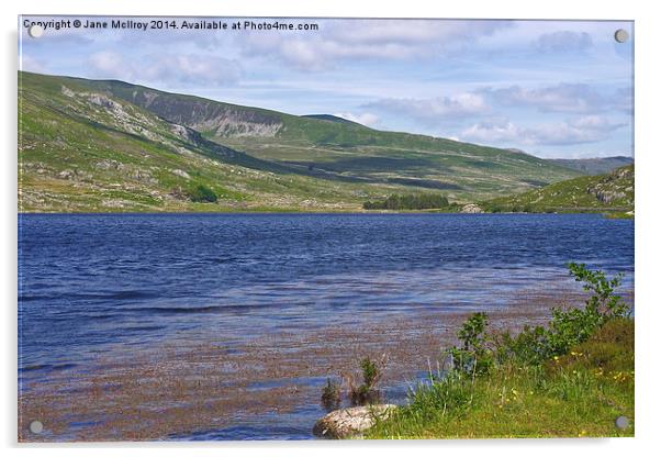 Llyn Ogwen Wales Acrylic by Jane McIlroy