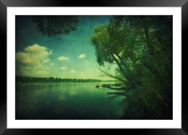 Narew River Framed Mounted Print by Piotr Tyminski
