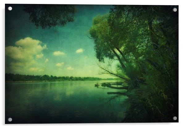 Narew River Acrylic by Piotr Tyminski